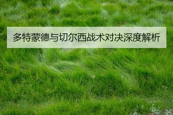 多特蒙德与切尔西战术对决深度解析